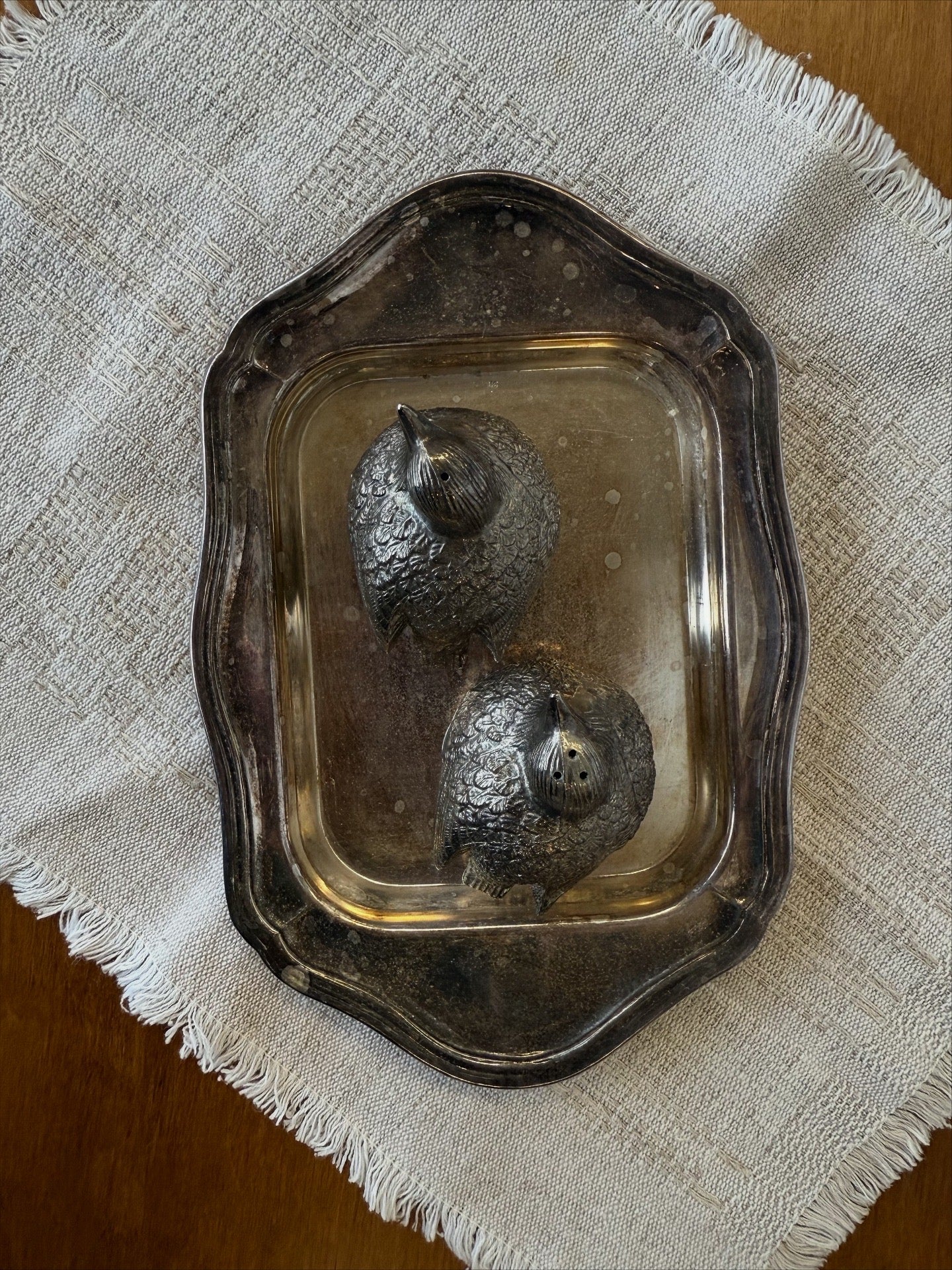 Druskinė ir pipirinė, paukščių forma