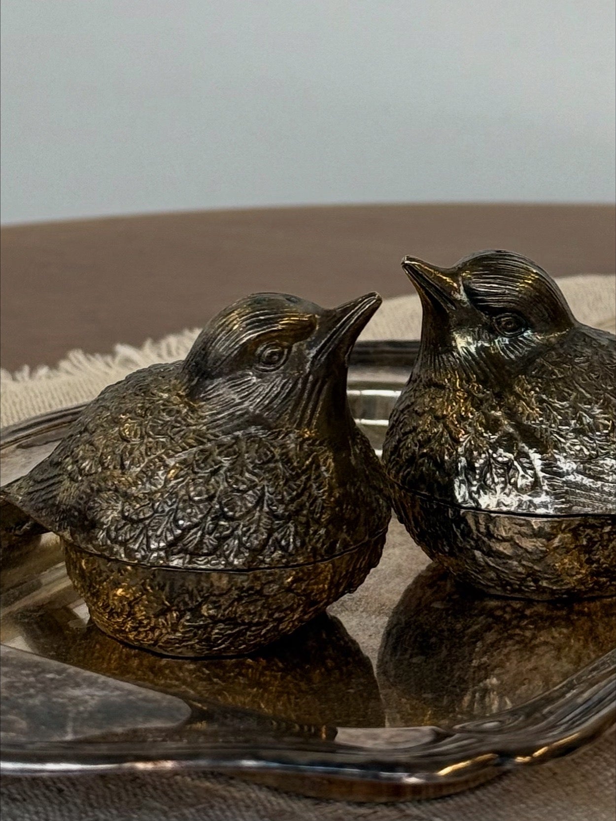 Druskinė ir pipirinė, paukščių forma