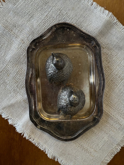 Druskinė ir pipirinė, paukščių forma