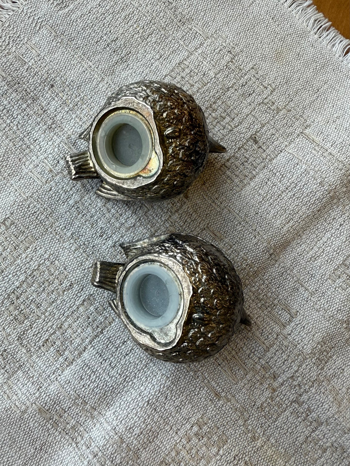 Druskinė ir pipirinė, paukščių forma