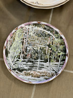 Saucer