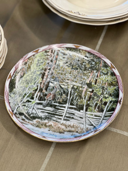 Saucer