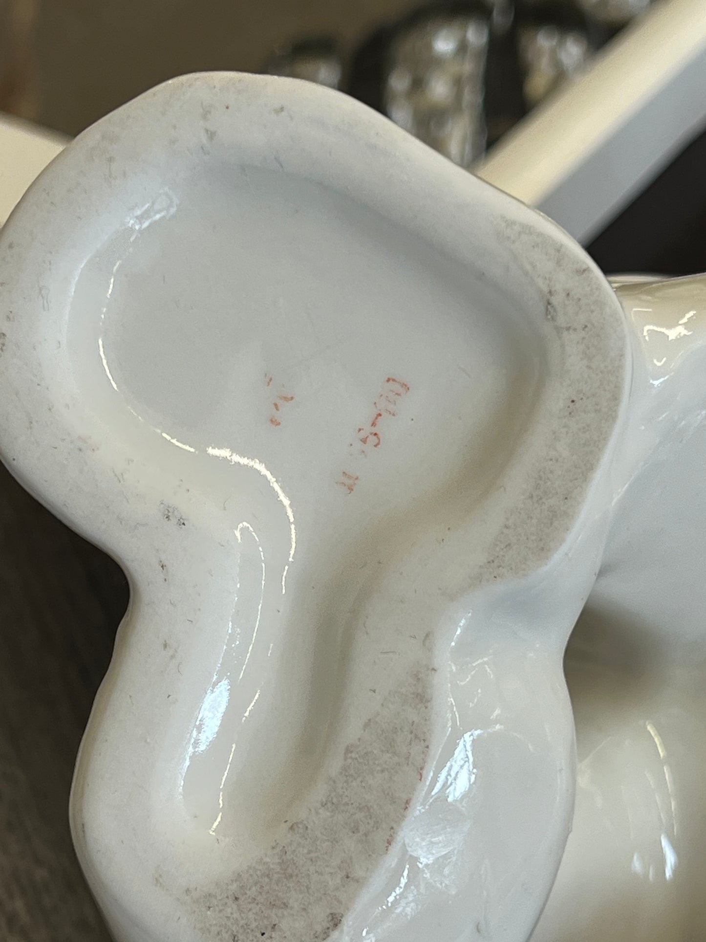 Lomonosov baltasis lokys