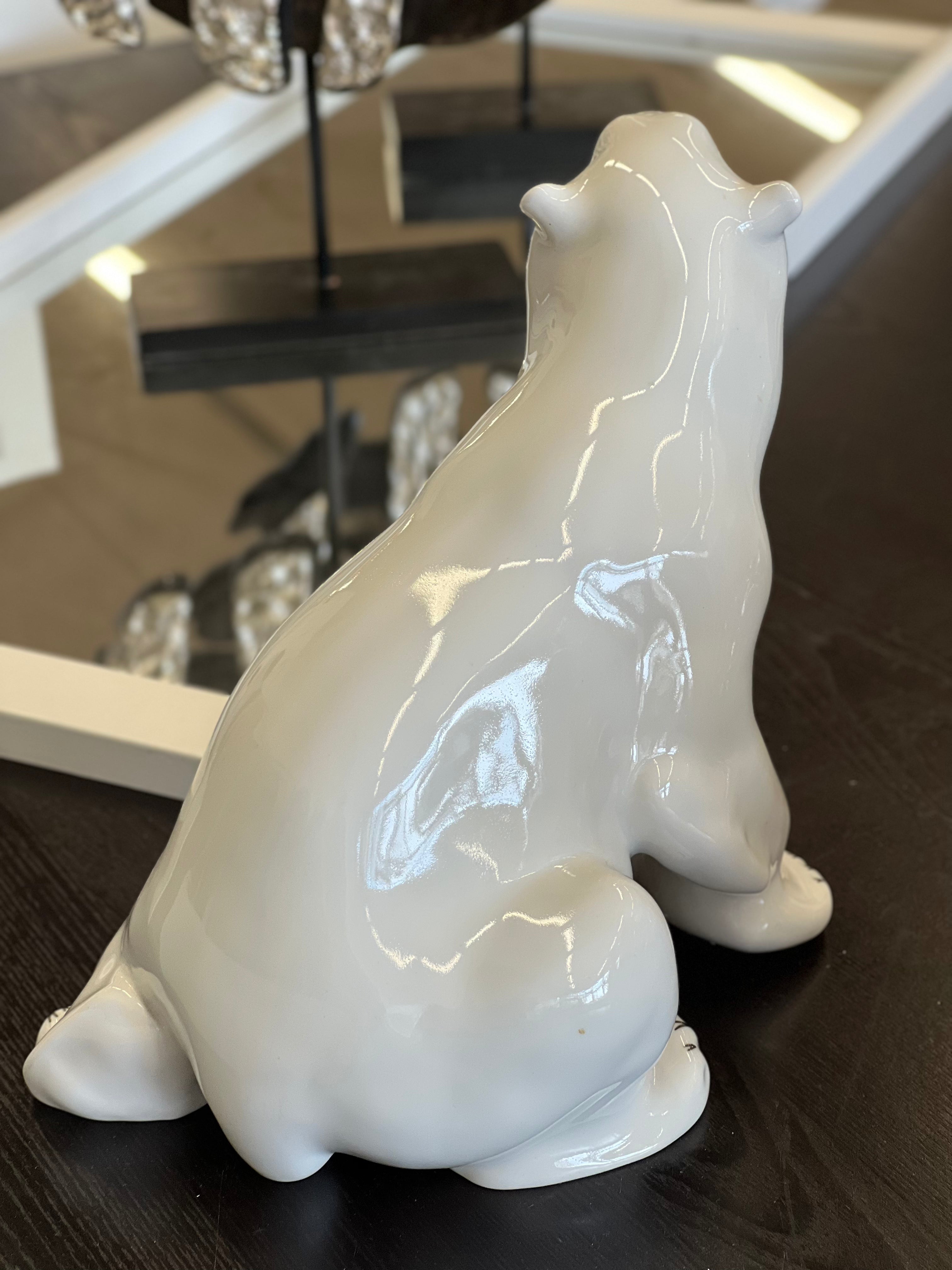 Lomonosov baltasis lokys