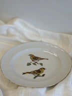 Porcelianinė dekoratyvinė lėkštė "Carduelis Spinus"