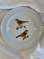 Porcelianinė dekoratyvinė lėkštė "Carduelis Spinus"