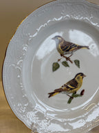 Porcelianinė dekoratyvinė lėkštė "Carduelis Spinus"