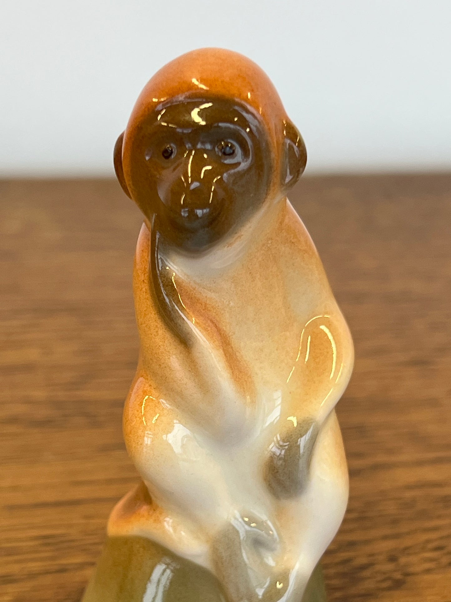 Lomonosov beždžionėlė