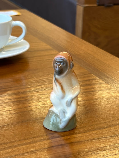 Lomonosov beždžionėlė